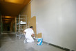 Peintre