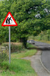 Elderly people crossing