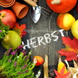 Herbstzeit