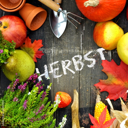 Photo: Herbstzeit Herbstzeit