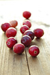 Cranberry