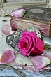 Vintage rose