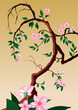beautiful vector spring tree design