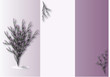 purple flower