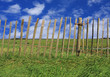 Fence pasture