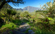 Sentier dans le Cirque de Mafate - La Réunion Sentier dans le Cirque de Mafate - La Réunion