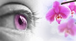 Oeil rose et orchidée