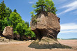 Hopewell Rocks at low tide Hopewell Rocks at low tide