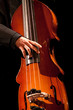 Bass
