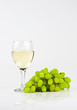 white wine grapes