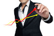 The graph.