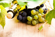Wine and grape Wine and grape