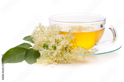 Foto: Holunder (Sambucus nigra) Holundertee auf weißem Hintergrund Holunder (Sambucus nigra) Holundertee auf weißem Hintergrund