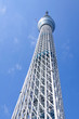 Tokyo Sky tree