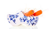 carrots for the horse of Sinterklaas for the traditional Dutch f