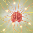 Brain Neuron Concept