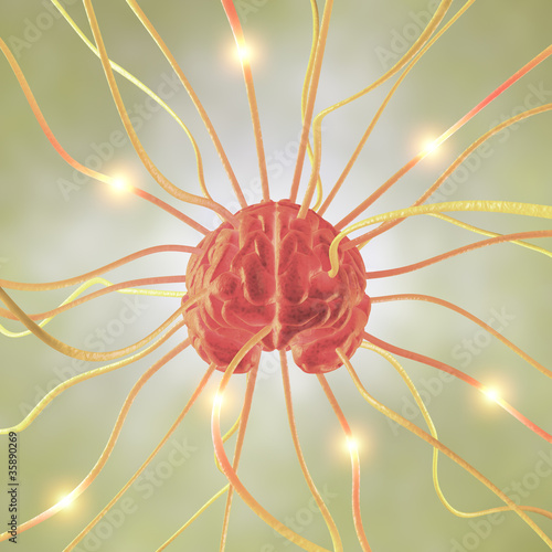 Illustration: Brain Neuron Concept Brain Neuron Concept