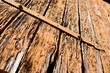 Holztor