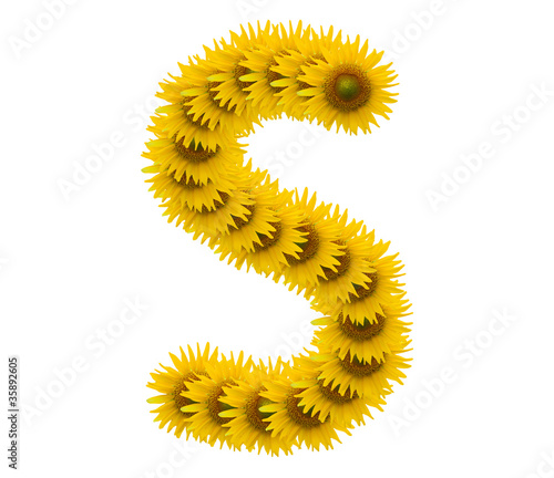 Photo: alphabet S, sunflower isolated on white background alphabet S, sunflower isolated on white background