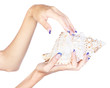 hands with shell hands with shell