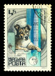 MAGYAR- CIRCA 1982