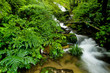 Stream, Intanon National Park, Thailand