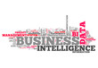 Word Cloud "Business Intelligence"