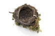 Foto: empty bird nest empty bird nest