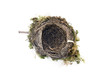 Foto: bird nest bird nest