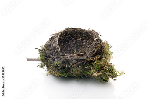 Foto: empty nest empty nest