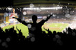 Crowd on the stadium Crowd on the stadium