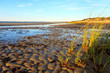 Beach scenic