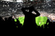 Crowd on the stadium