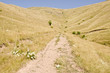 Mountain Mountain