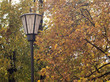 Retro styled street lantern in autumn forest