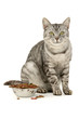 Cat food