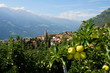 Partschins im Vinschgau