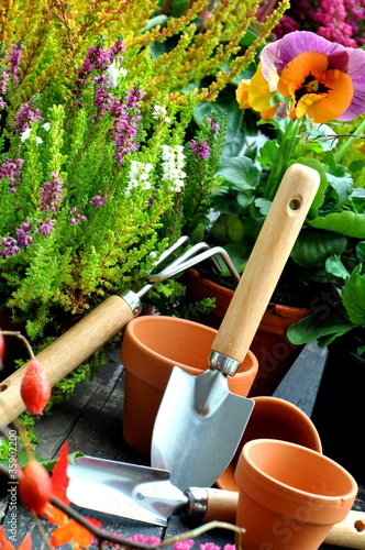 Foto: Gartenwerkzeug Gartenwerkzeug