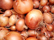 onions onions