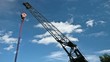 Crane under the Sky