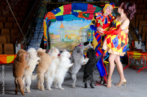 Photo: Romantic relations. Clowns, dogs, red rose Romantic relations. Clowns, dogs, red rose