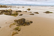 Tranquil scene at Criccieth  beach in  low tide
