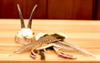 hunting trophies