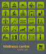 Fitness icons set