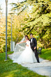happy wedding couple happy wedding couple
