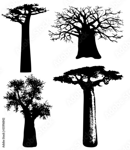 Vector: trees of Africa - vector trees of Africa - vector