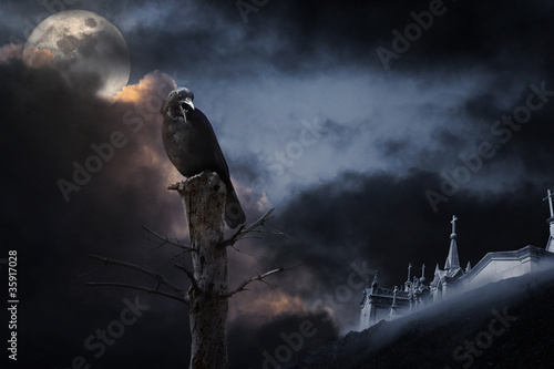 Photo: Halloween crow Halloween crow