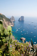 I Faraglioni di Capri