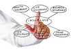 Presentation of insurance structure