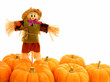 Harvest border of pumpkins and scarecrow